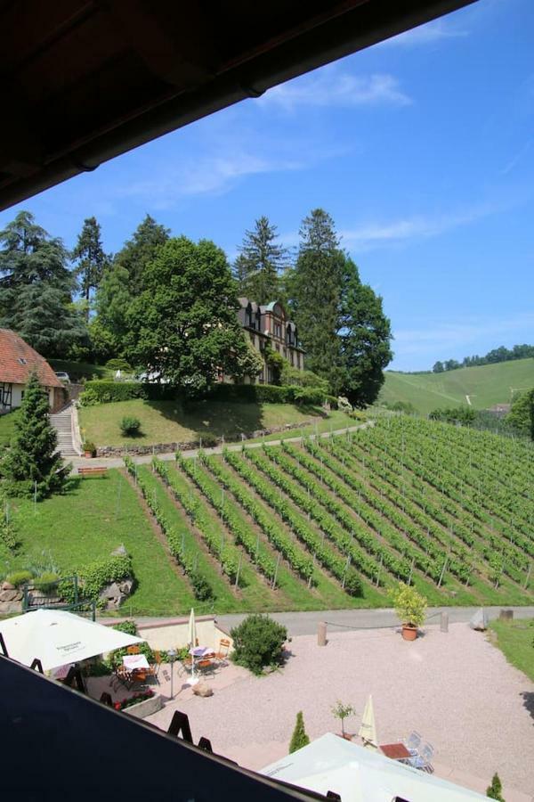 Wein Lodge Durbach - Schlossblick Exteriér fotografie