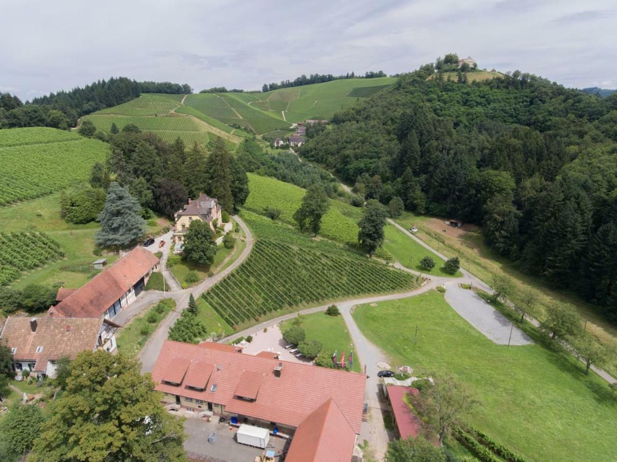 Wein Lodge Durbach - Schlossblick Exteriér fotografie